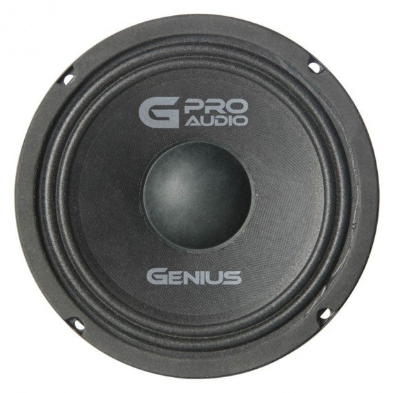 ALTAVOZ MEDIO RANGO PRO AUDIO 200W MAX – Genius Audio
