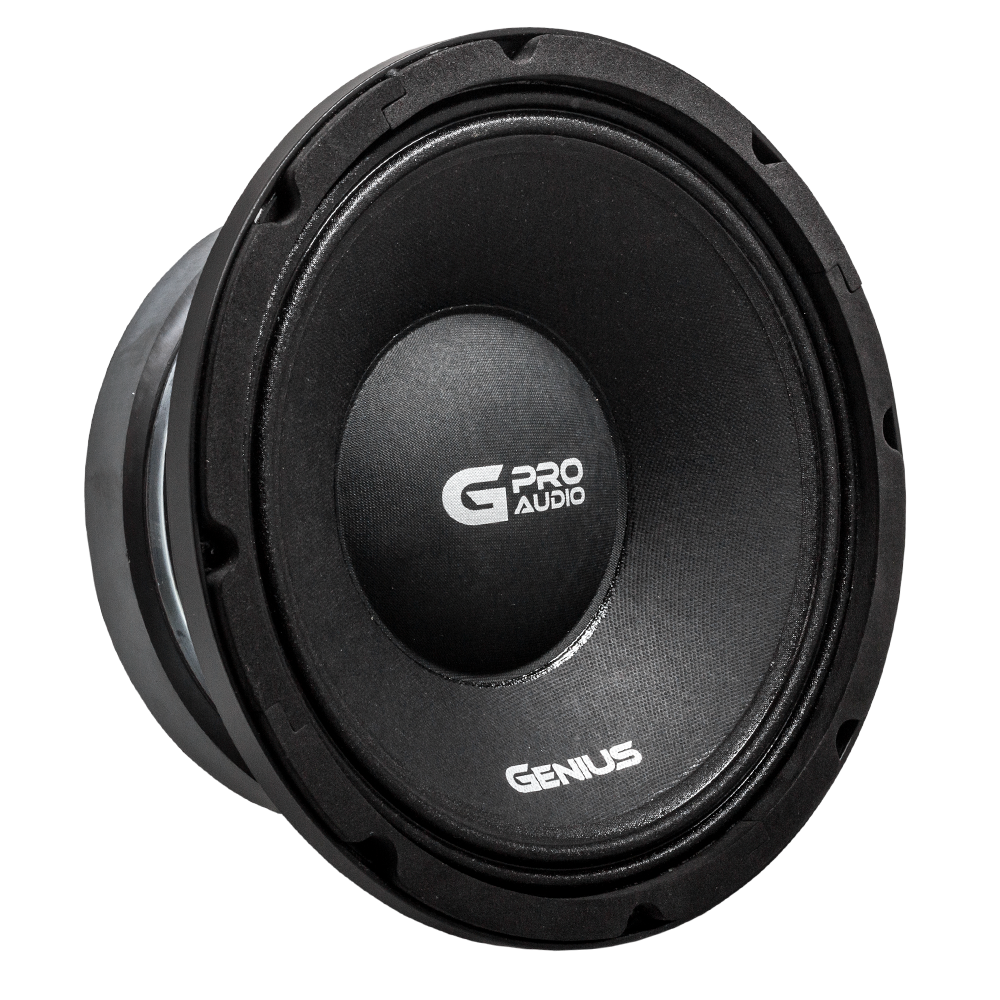 ALTAVOZ DE MEDIO RANGO PRO AUDIO 10" 700WMAX