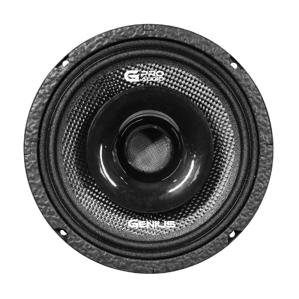 6.5” SLIM PROFESSIONAL LOUDSPEAKER HYBRID WITH CARBON FIBER AND 1” COMPRESSION DRIVER HORN