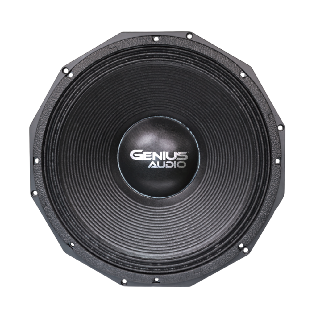 WFX18S1 18” PROFESSIONAL WOOFER SPEAKER FERRITE MAGNET 5000 WMAX